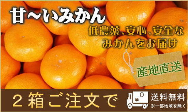 静岡県産三ヶ日みかん10キロ早生 少し訳あり品 本州送料無料 みかん専門店 オレンジ農園