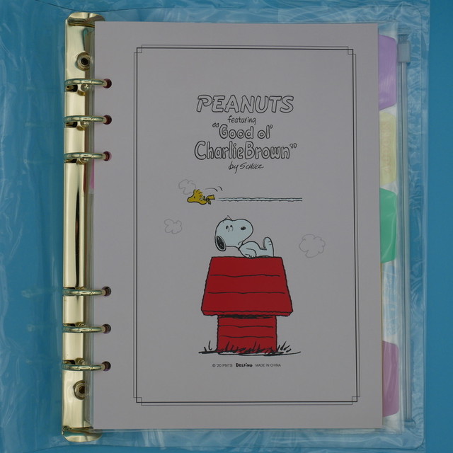 Peanuts Snoopy スヌーピー システム手帳 A5 ６穴 ファイルブック フライイングエース スヌーピーのおへや N おすぬべや