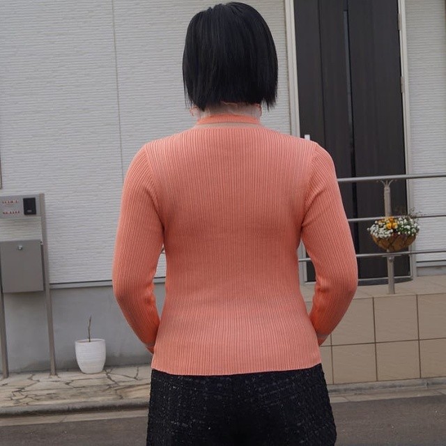 即納 ニット トップス 長袖 ハイネック 異素材 ボーダー フリル プルオーバー ニットソー カットソー レディース 黒 ブラック アイボリー Ns 1356 Daily Closet