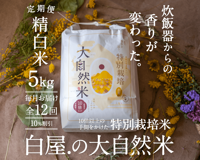 【定期購入/1ヶ月毎】大自然米【精白米】5kg x 12回(1年間)10%お得!