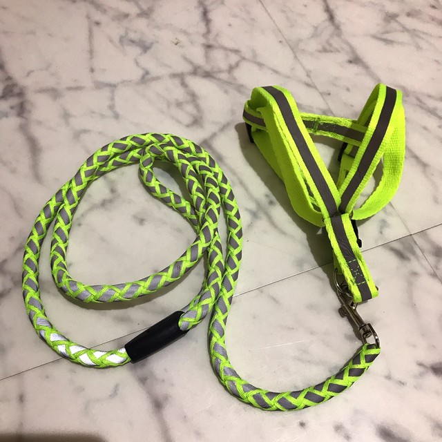 ハーネス リード 首輪 犬 猫 ペット 反射付きハーネス 黄緑s L Ronkichimaru ロンキチマル かわいい犬服 猫服 ペット服