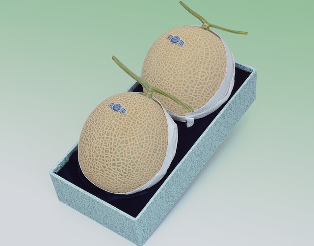 静岡産 クラウンマスクメロン【2玉計約2.4kg】 〔送料無料 メロン 贈答用〕