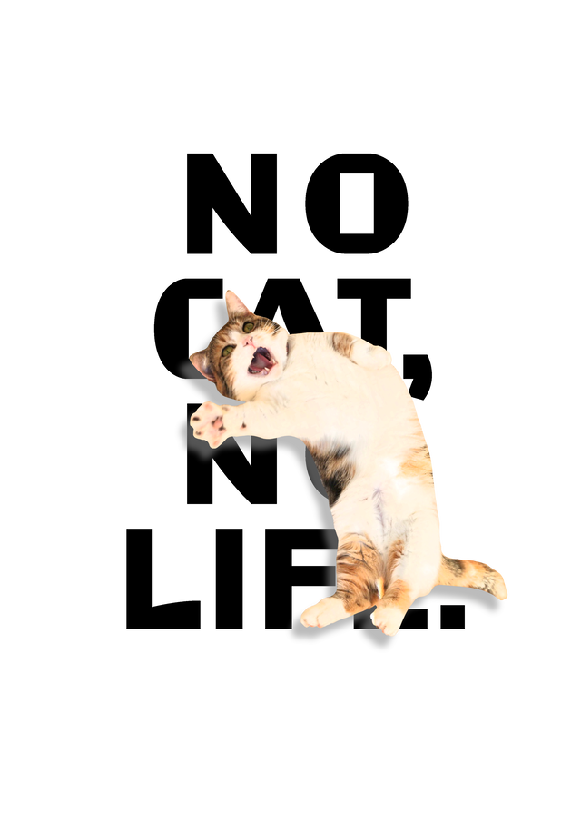 すあまｎｏ ｃａｔ缶ミラー 保護猫カフェmoff Moff オンラインショップ