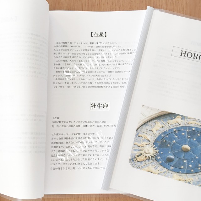 人生のシナリオ ホロスコープリーディング あなたの取扱説明書 Atelier Bluemoon