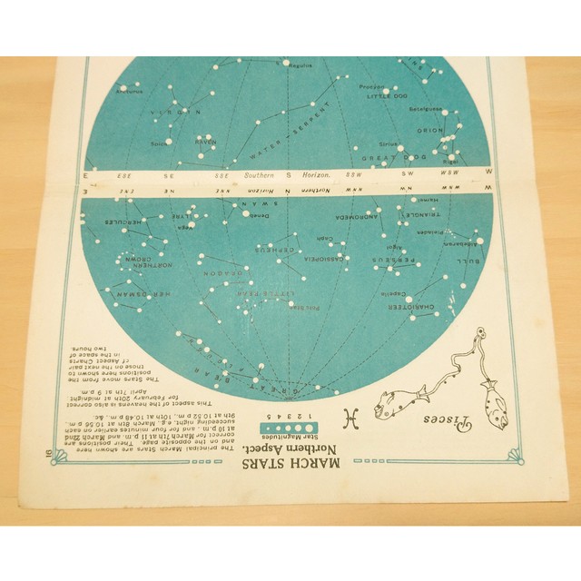 十二支星座 天体図版 3月 北半球 うお座 南半球 おひつじ座 イギリス アンティーク 星座図 天体観測 リトグラフ Backlane