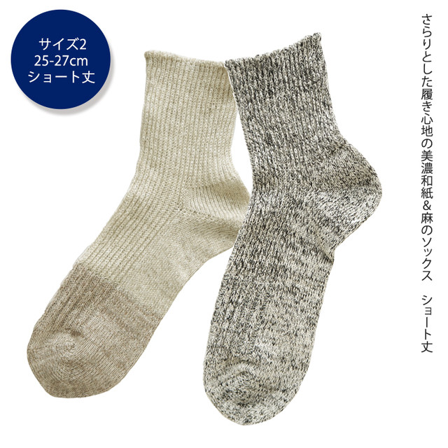 2n8 6fvyc261cm