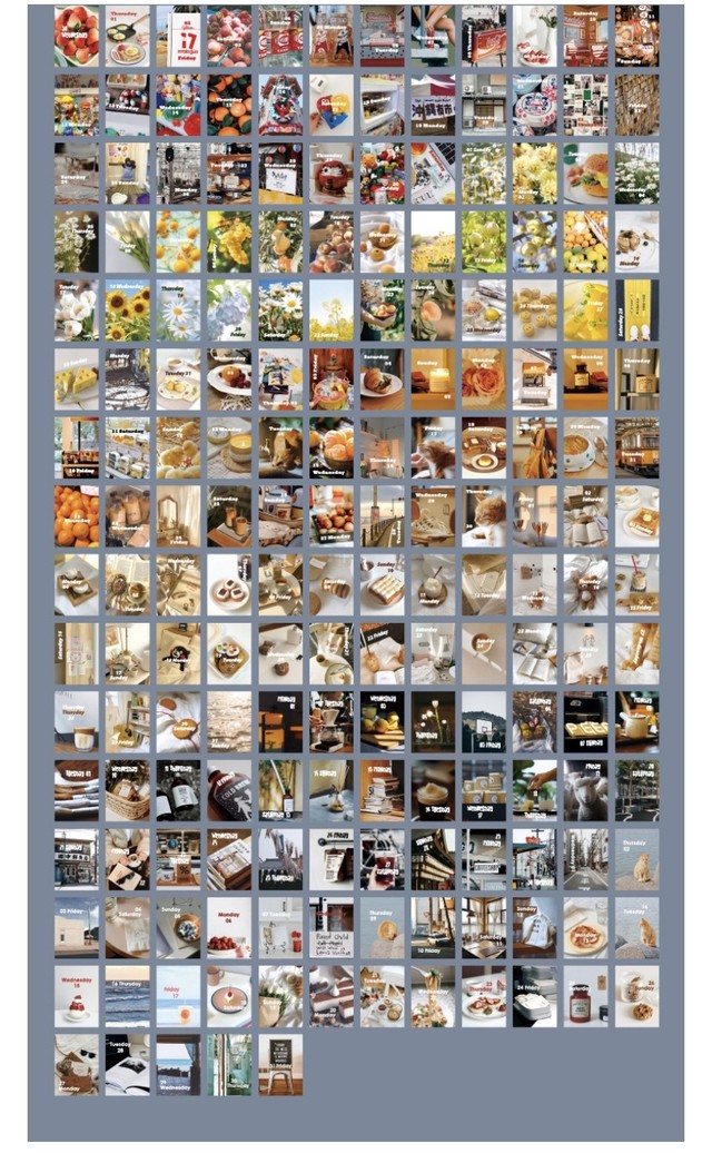 C005 21 手帳 日めくり ミニカレンダー 晴れた心 めこもこ屋