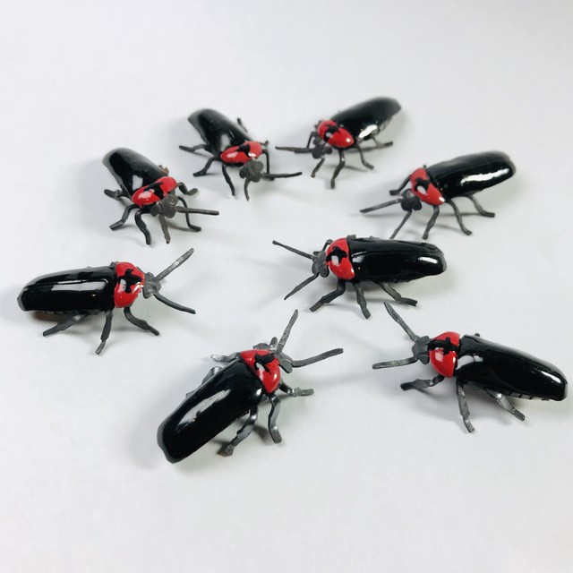 【たがや】 「ゲンジボタル」