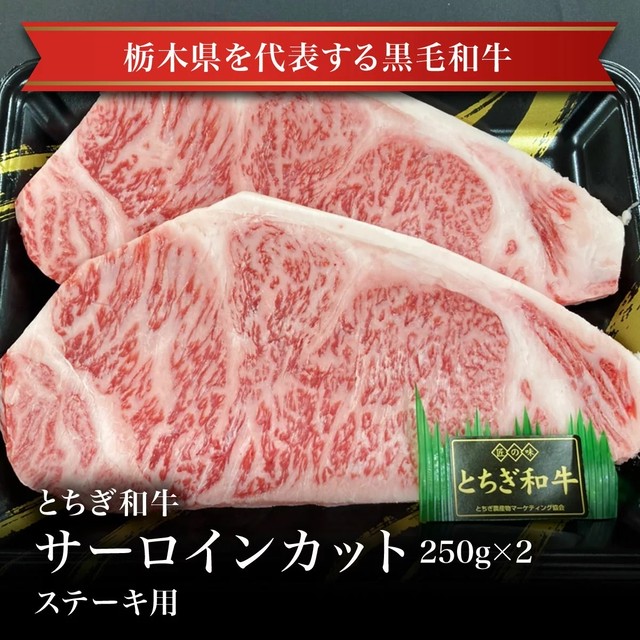 冷凍 とちぎ和牛サーロインカット250ｇ 2 贈答 ギフト お中元 お歳暮 お取り寄せグルメ 那須高原からの贈り物 ａｂｃミート