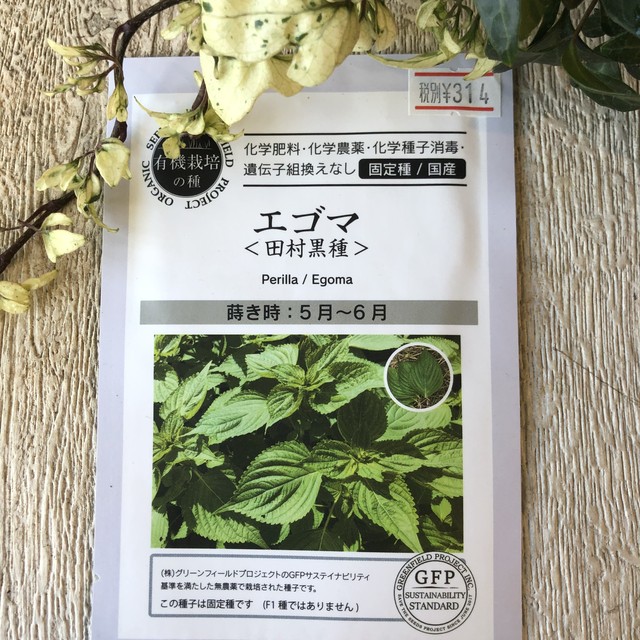 ハーブ エゴマ 田村黒種 Organic Seeds 固定種 有機種子 橋本種苗園