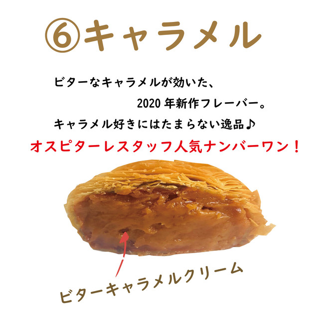 選べる１２個 スフォリアテッラセット スフォリアテッラ専門店オスピターレ