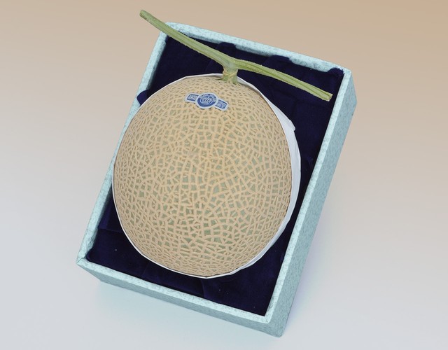 静岡産 クラウンマスクメロン【1玉約1.4kg】 〔送料無料 メロン 贈答用〕