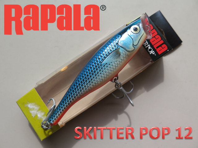 ラパラ スキッターポップ12 Rapala Skitter Pop 12 Blue Mullet F L54 04 Tightlines