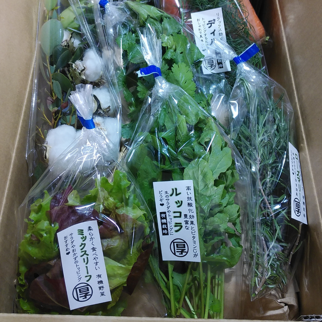 特別栽培米あきほなみ10kg 野菜とハーブ9 10種 あつまる商店