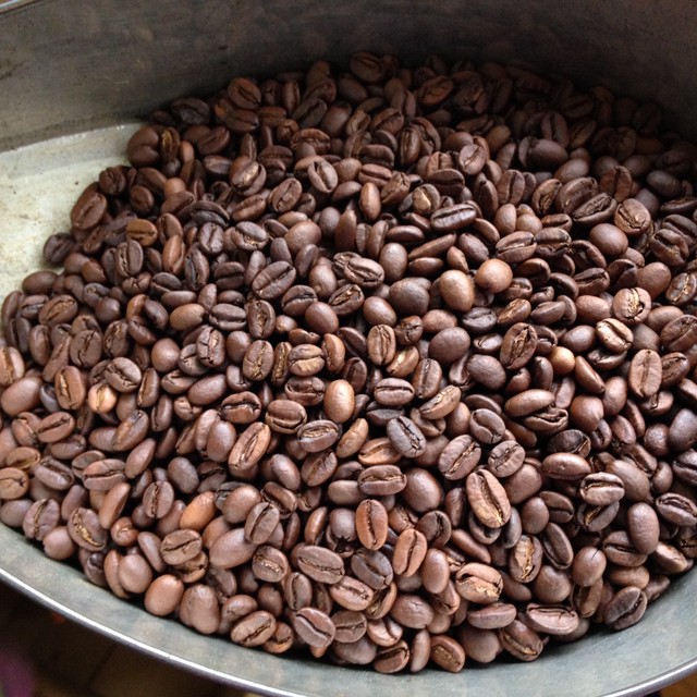 Ethiopia エチオピア イルガチェフェg 1 コンガ農協 中煎り 100g Papi Coffee