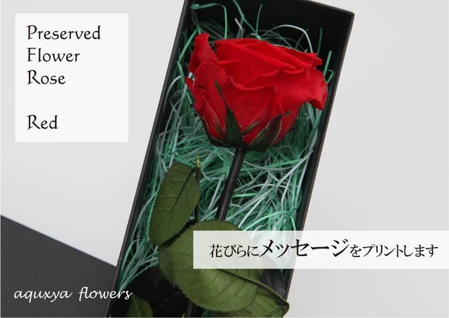 メッセージフラワー 一輪のバラの花びらにメッセージをプリント Aquxya Flower Jewelry