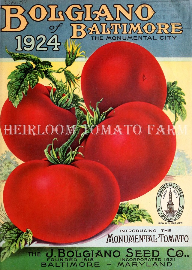 Heirloom Tomato Farm