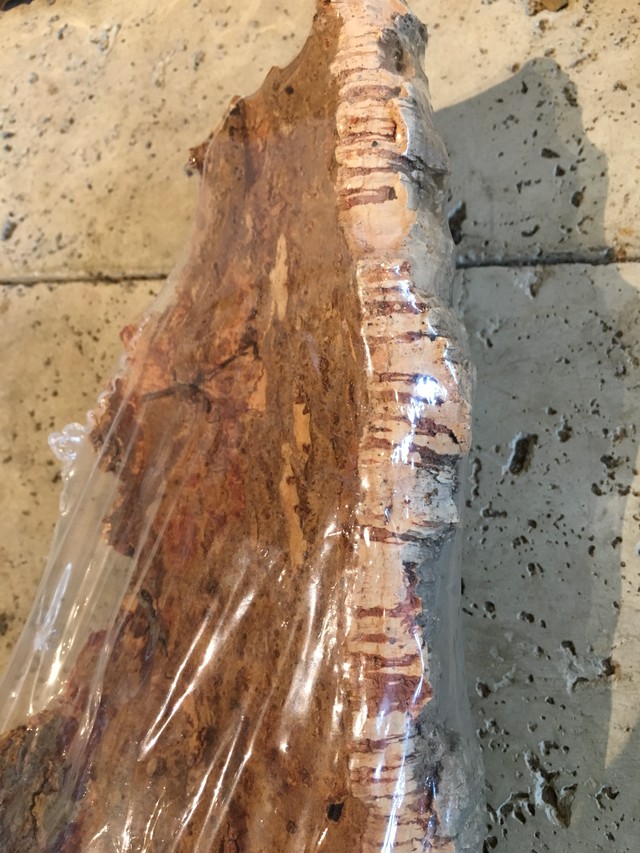 バージンコルク Botanical56