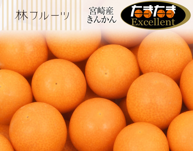 宮崎県産 たまたまExcellent〔送料無料、たまたまexcellent、たまたま、完熟きんかん、きんかん、柑橘、詰め合わせ、贈答用〕