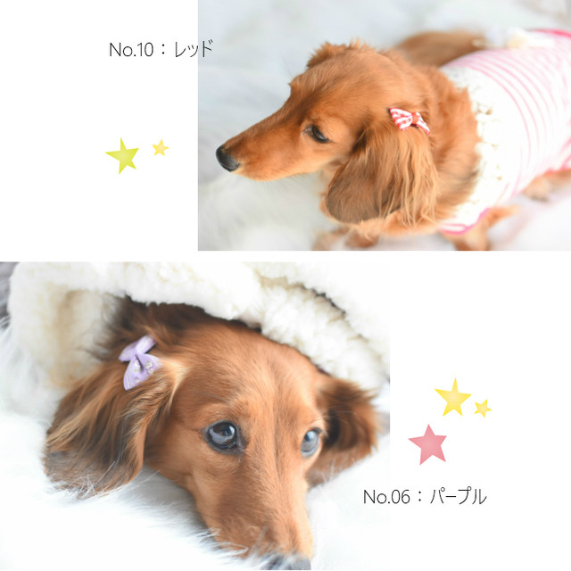 犬 ヘアアクセサリー リボン コーム パッチン ピン 3点セット C Hapi Co