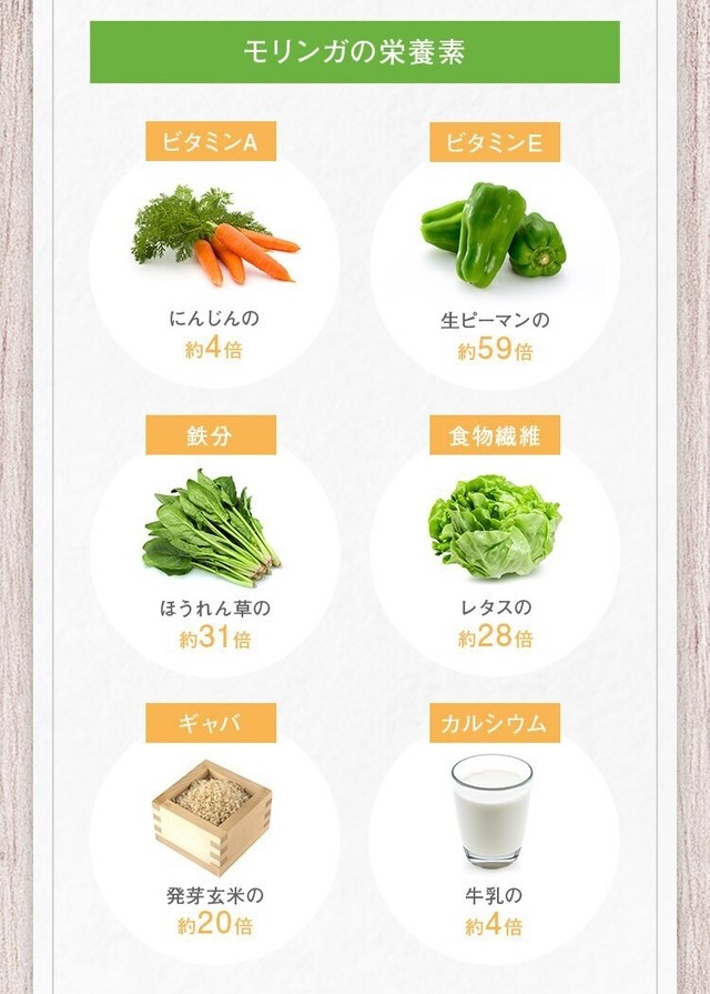 子供達の英語教育に役立つ 100 有機栽培 モリンガパウダー100g フィリピン産 Eigo To Moringa