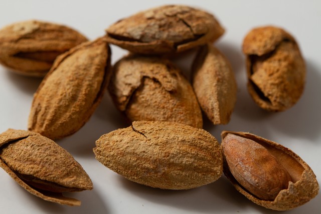 殻付き アーモンド １５０ｇ Owlmoon