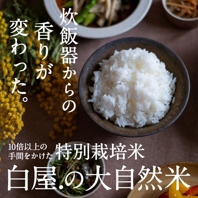 大自然米【900g】450g(3合)×2個 精白米