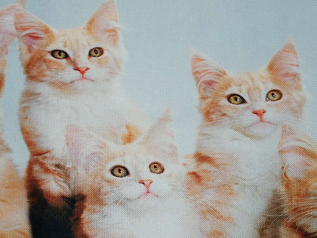 2 超可愛い 猫柄 テーブルクロス 平形 長方形 癒しグッズ 暮らしのアイテム Funhobby