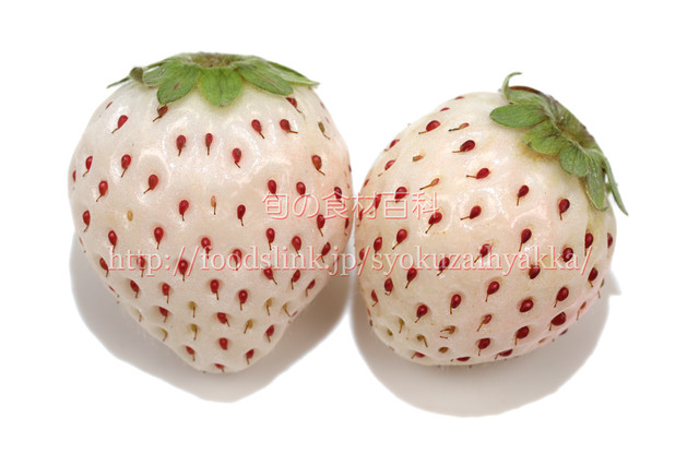 パールホワイト いちご Pearlwhite004 67x4480 旬の食材百科 ロイヤリティーフリー画像素材