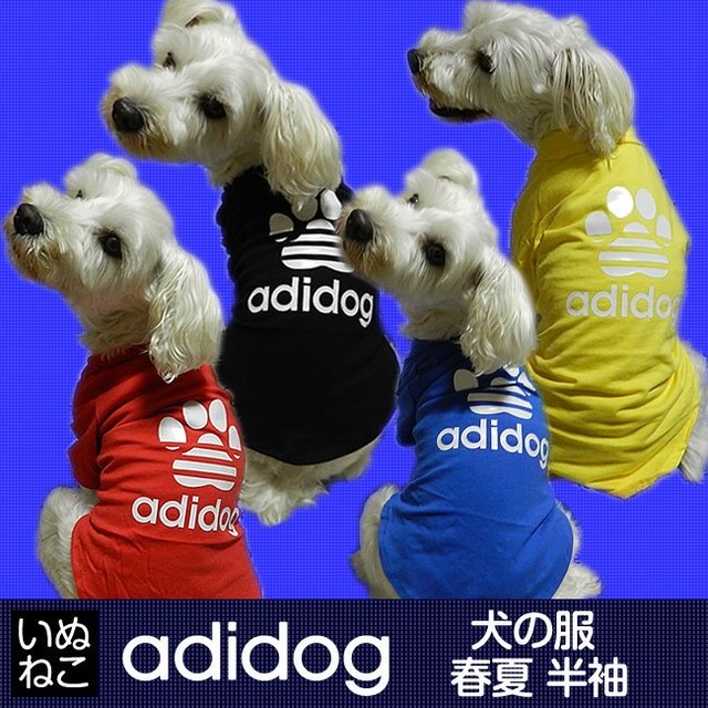犬の服 猫の服 ニットウェア ペット用品 ニット ケーブル デザイン ニット素材 赤 紺 白 犬服 猫服 いぬねこ いぬねこ ペット用品ショップ ペットウェア お散歩グッズ 首輪 ベッド 犬の服 猫の服 ニットウェア ペット用品 ニット ケーブル デザイン ニット素材 赤 紺 白 犬服 猫服 いぬねこ いぬねこ ペット用品ショップ ペットウェア お散歩グッズ 首輪 ベッド