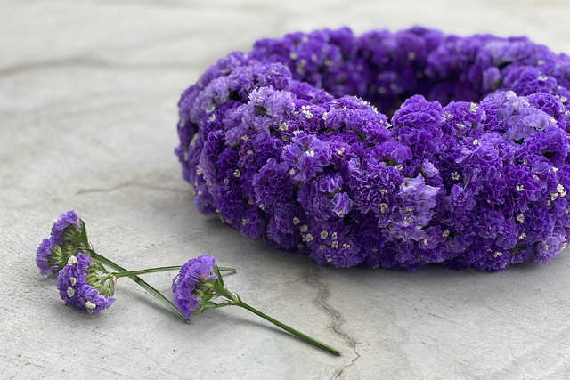 Statice Wreath Violet 05 | スターチスリース