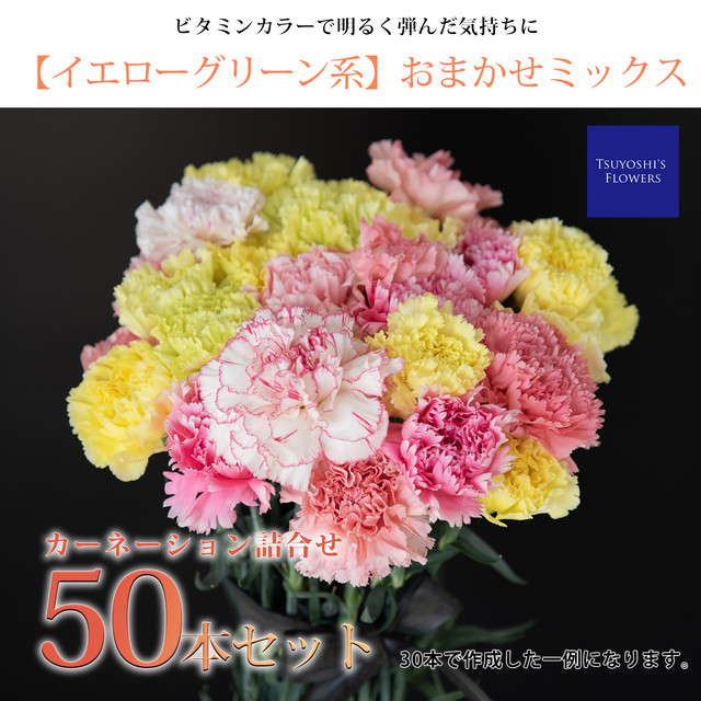 先行予約 イエローグリーン系 おまかせミックス カーネーション詰合せ 50本セット Tsuysohi S Flowers