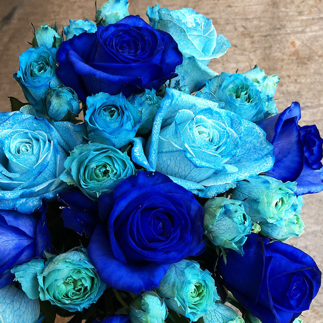青いバラの花束 ブルーローズブーケギフト Mサイズ 到着指定日5日前受付 Noonflos Flower Shop Floral Design
