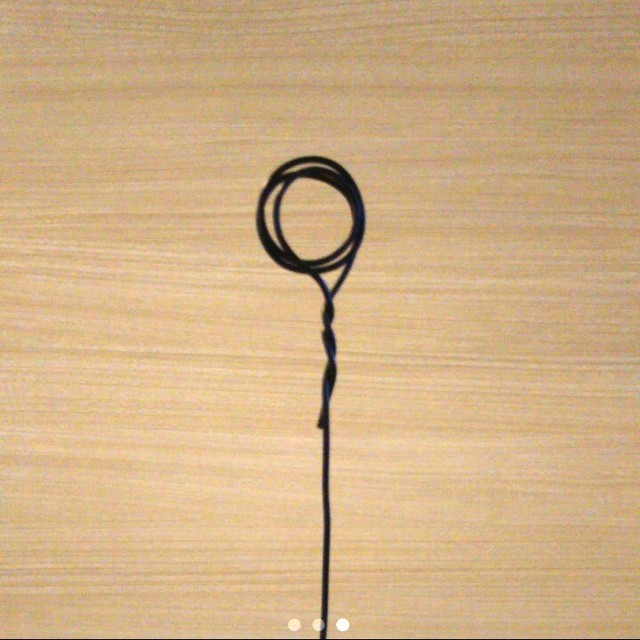 苔玉 シダ ハンギング 吊り No 5 セレクトショップ にゃんた