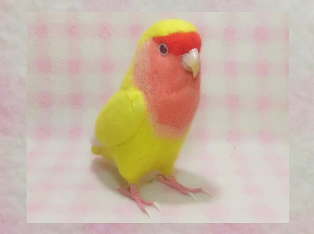 受注作成品 コザクラインコ ルチノー リアルサイズ 羊毛フィギュア 1 1サイズ 羊毛フェルト 工房 小鳥屋さん