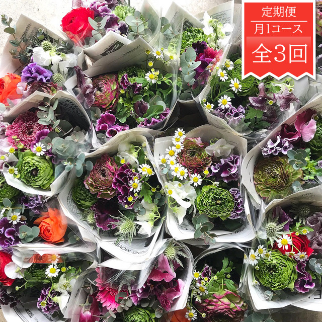 横須賀市内地域限定 自宅で楽しむお花の定期便 月１お届けコース ご自宅用 当店厳選のファンフラワー Noonflos Flower Shop Floral Design