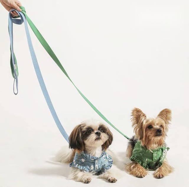 犬 猫 ハーネス リード ペット可愛い服 ジャケット The Snazzy Pet Co