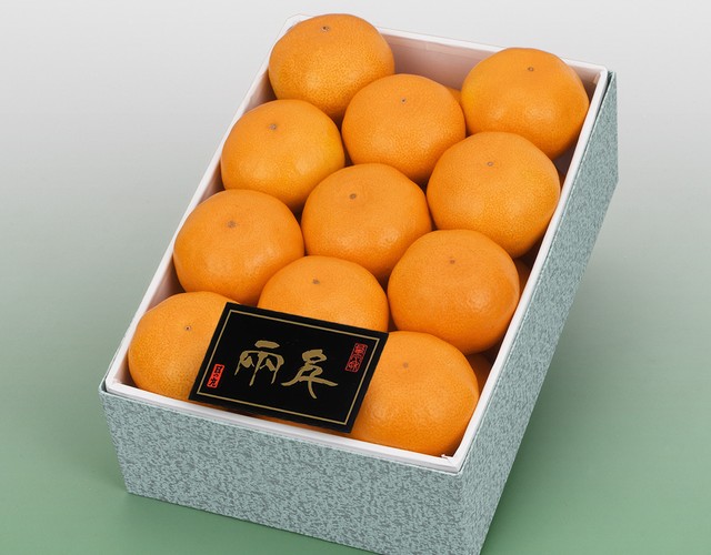 愛媛県産 日の丸みかん 化粧箱 〔送料無料 みかん 詰め合わせ 贈答用〕