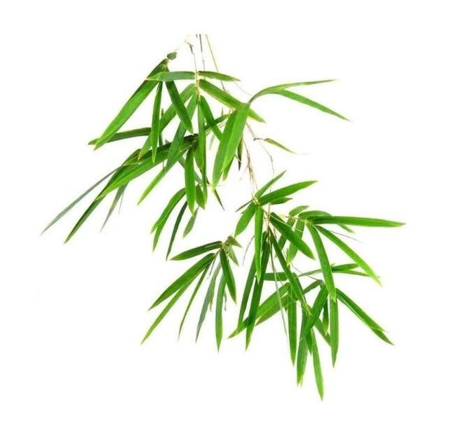 アロマオイル Bamboo バンブー 竹 10ml エッセンシャルオイル 精油 天然成分100 Akarz アロマテラピー アロマセラピー Micor ナチュラルエッセンシャルオイル Akarz専門店