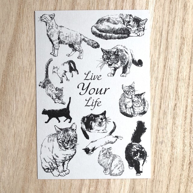 ポストカード 猫のイラスト ポスクロドットコムjp Base店