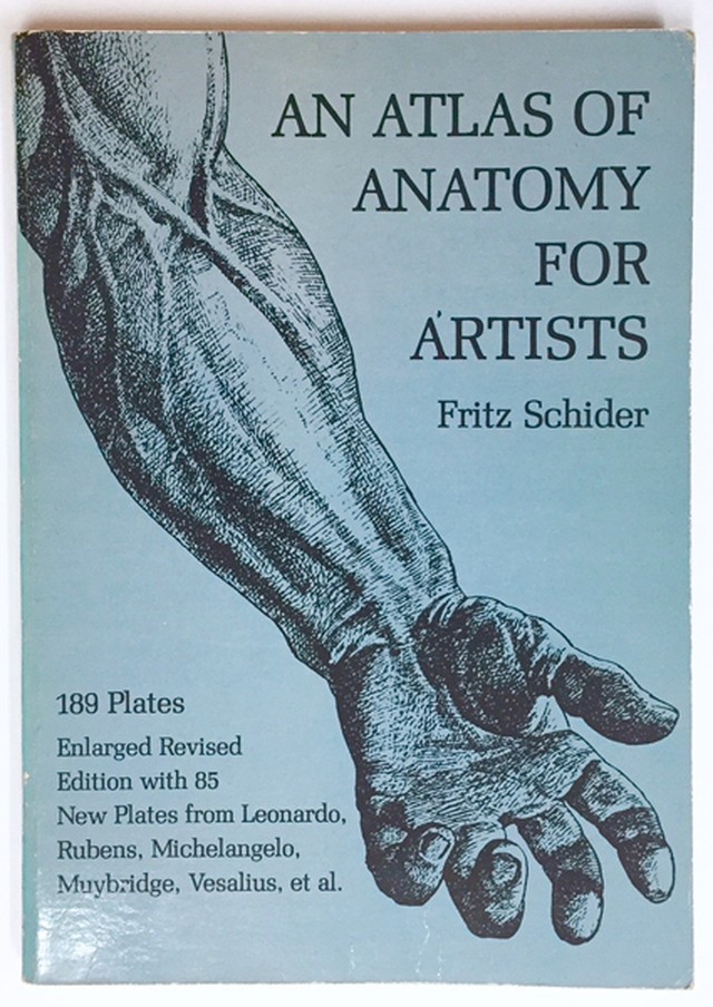 An Atlas Of Anatomy For Artists 画家のための解剖図 Mondo Modern モンド モダーン
