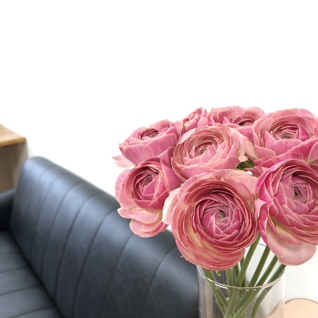 ラナンキュラス Jp Farmers Com