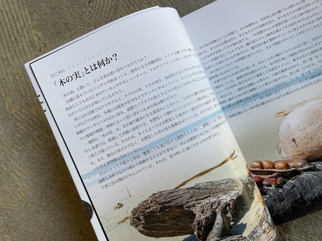 世界のふしぎな木の実図鑑 Standard Bookstore