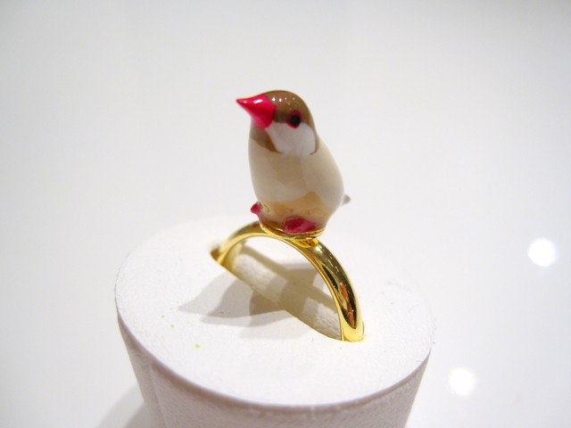 シナモン文鳥の指輪 Toriko