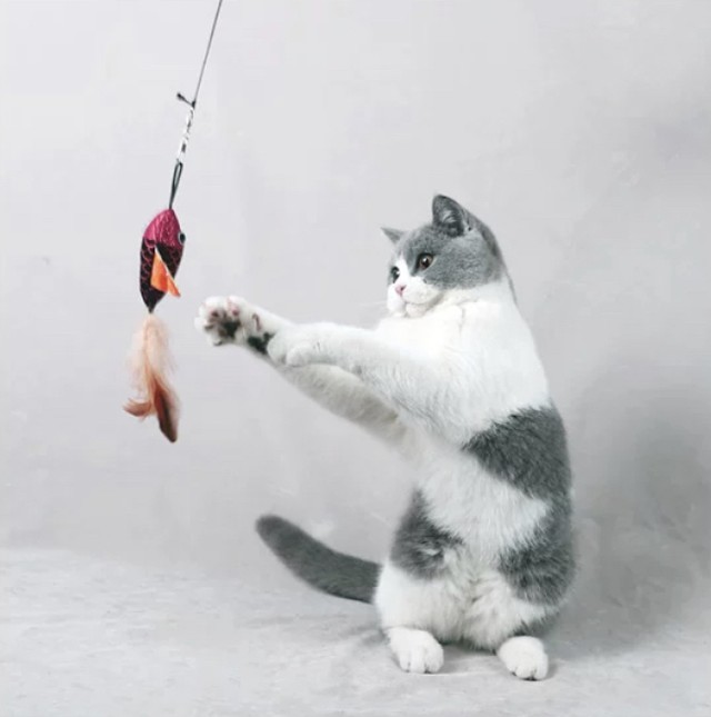 猫用おもちゃ 釣り 魚釣り 竿 おもちゃ魚釣り 猫チャンおもちゃ 猫の魚 キャットトイ フィッシング The Snazzy Pet Co