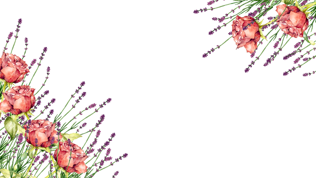 薔薇とラベンダー フレーム2 Png 背景透過 イラスト素材屋