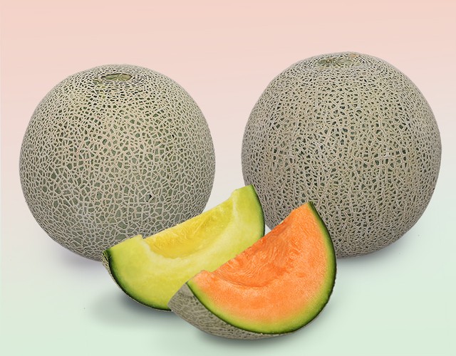 メロンセット ご自宅用