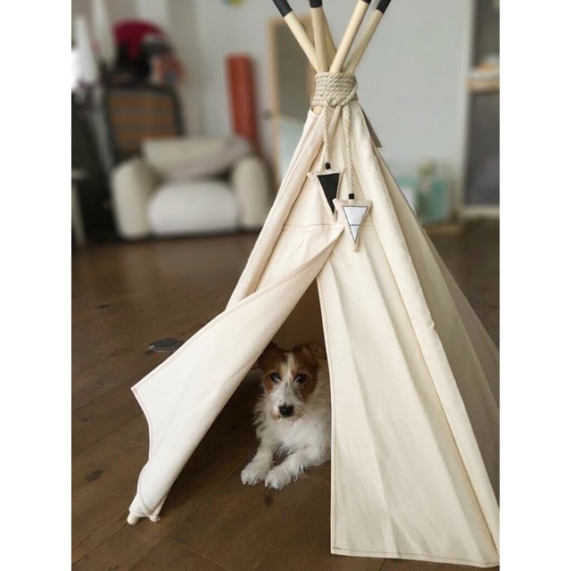 ティピ M テント 小型犬 中型犬用 犬小屋 サンプル限定品 Little Record Online Shop