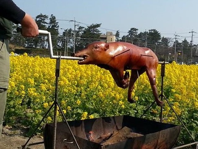 イノシシ丸焼き用9 47 株式会社tracks 糸島ジビエ工房