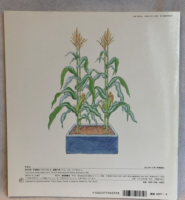 とんとん とうもろこし 月刊予約 科学絵本 かがくのとも 通巻315号1995年6月号 Usedbook151e